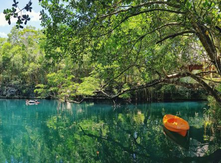 A couple of boats in the swamp of Cenote Angelita in Tulum, Quintana Roo, Mexico