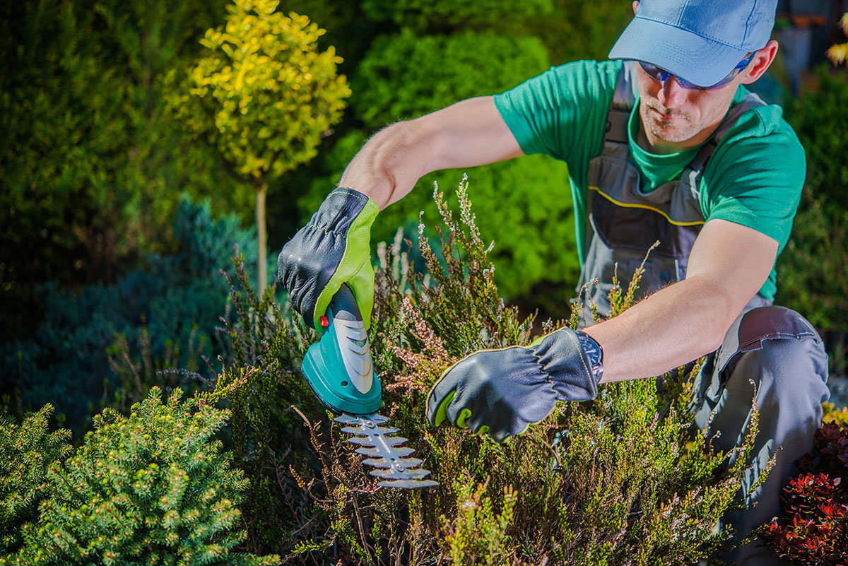 SCU landscaper 1